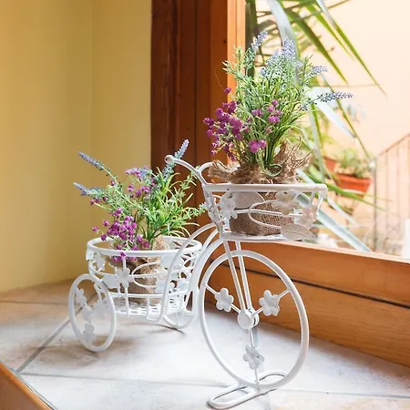 Casa Vacanze Romano Roma